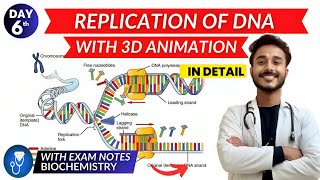 replication of dna biochemistry  dna replication in prokaryotes amp eukaryotes biochemistry [upl. by Gruber825]