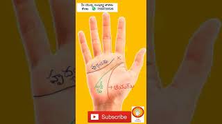 Palmistry II Shorts 025Jathakam in Telugu chethi hasta rekhalu jyothisham Astrology reading [upl. by Annaierb]