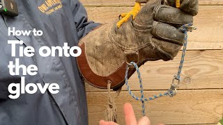 How to tie the falconers knot onto your glove  Falconry advice [upl. by Eiralc]