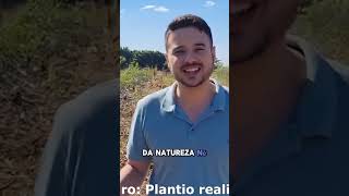 Qual é a época de plantio da mandioca  hortalicas agro plantas agricultura [upl. by Fullerton]