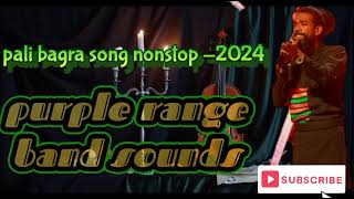 Pali bagra song nonstop 2024 [upl. by Anirad379]