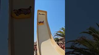 Boomerang  Acquafollie Caorle acting waterpark waterslide themepark acquafollie [upl. by Fulbert391]