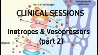 Clinical sessions Inotropes amp Vesopressors  part 2 e  collection [upl. by Einaled]