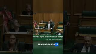 Vote drama in New Zealand [upl. by Nodyarg3]