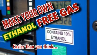 Making your own ETHANOL FREE Gasoline its easier than you think [upl. by Strenta]