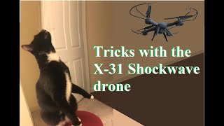 Shockwave Drone Tricks [upl. by Airdnekal816]