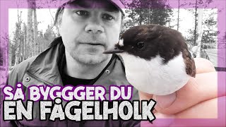 Så bygger du en fågelholk [upl. by O'Meara]