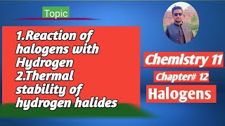 lec2 Reaction of Halogens with hydrogen  Thermal stability of hydrogen halides [upl. by Eelhsa250]