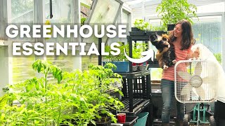 Essential Tips amp Supplies for Beginner Greenhouse Gardeners [upl. by Kcirderf]