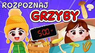 🧺 Kazio i TEST GRZYBIARZA 2  Grzybobranie dla dzieci  Rozpoznawanie grzybów 🧺 [upl. by Atival]