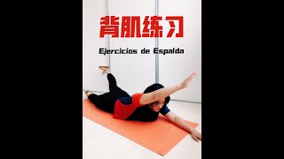 Wushu Kung Fu 242 Ejercicios Espinales 背肌训练 [upl. by Blight]