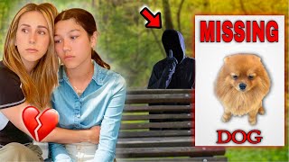 We Found Out Who TOOK Our MISSING Puppy March Pom LEADS full movie [upl. by Ansilme]