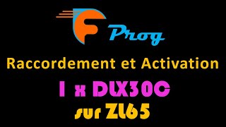 1 paire de DLX30C sur ZL65 CAME [upl. by Odiug]