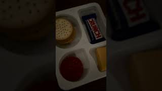 Offbrand lunchable [upl. by Ailisec]