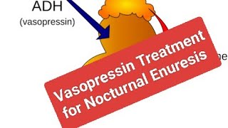 Drug Treatment for Nocturnal Enuresis Vasopressin [upl. by Laamak]