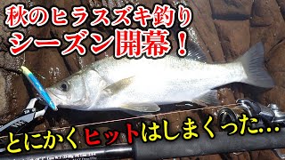 秋のヒラスズキ釣りシーズン開幕！派手なアクションが効きまくった1日。 [upl. by Akeimahs]