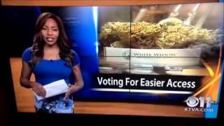 Alaska News Reporter Charlo Greene Quits Live On Air Goes Out With A Bang [upl. by Ryle140]