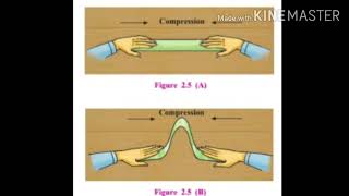 9th Geography Chapter 2 Endogenetic Movements [upl. by Nede]