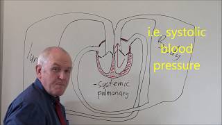 Heart 3 Pulmonary and Systemic circulation [upl. by Zealand]