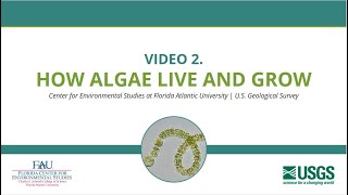 Video 2 How Algae Live and Grow [upl. by Krauss]