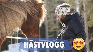 VLOGG I STALLET [upl. by Einegue]