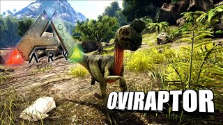 Taming A Oviraptor  Ark Survival Evolved  The Island [upl. by Arica511]