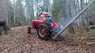 Massey Ferguson 65 Haywire Tree Cutting featuring Greg Yasko [upl. by Graner]