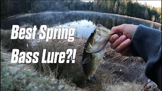 This is the BEST Spring Bass Lure [upl. by Atiuqat314]