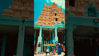 Rameshwaram Temple  Solo Travel 2024  Temple Visit Rameshwaram  333adventures [upl. by Imis844]