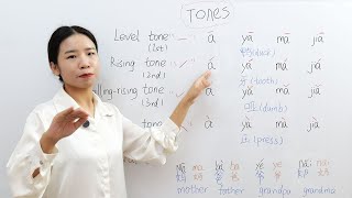 Basic Knowledge of Chinese Tones  How to Learn Chinese Quickly  HSK  learn chinese lesson 1 [upl. by Hegyera]