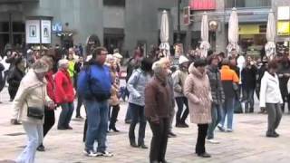 Herr Tischbein  Sympathie  Line Dance Flashmob [upl. by Yhcir]