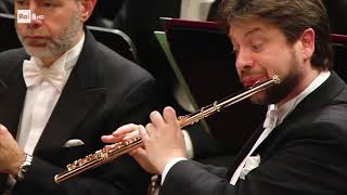 Stravinsky Petruschka ANDREA OLIVA Flute  Cadenza [upl. by Eniaral]