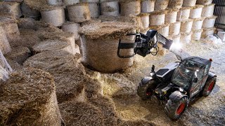 Bobcat RSeries Telehandlers for Agriculture in action [upl. by Dominic964]