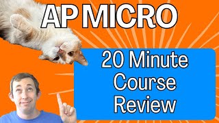 Review AP Micro in 20 Minutes  AP Micro Struggle [upl. by Kirimia]