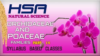 HSA NATURAL SCIENCE PART 14 ORCHIDACEAE AND POACEAE FAMILIES [upl. by Allix]