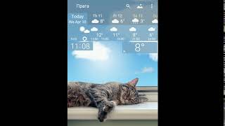 Cat in a cradle New YoWindow Weather app [upl. by Haven501]