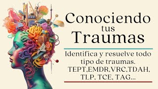 Entendiendo y SANANDO tus traumas  Audiolibro completo [upl. by Trebleht75]