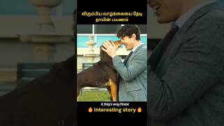 Dogs struggle to live a happy and peaceful life  விரும்பிய வாழ்க்கையை தேடி நாயின் பயணம்  Infogle [upl. by Ailemor161]