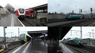 Bahnverkehr in Pinneberg mit ČD Eurocity Br 245  MPWagen Intercity Güterzug Twindexx und mehr [upl. by Candis]