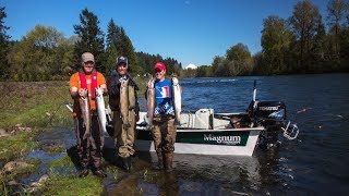 Clackamas River Steelhead [upl. by Magdalene253]