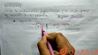 What is metameric segmentation  In which group of animals it is found  CLASS 11  ANIMAL KING [upl. by Eihs]