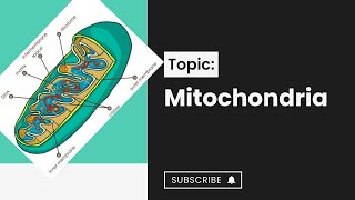 Mitochondria l Chondriosomes l cell structure and function l XI biology [upl. by Blainey]