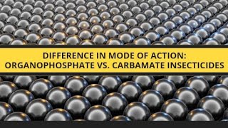 Difference in Mode of Action Organophosphate vs Carbamate Insecticideskasamacademy [upl. by Ettenwad]