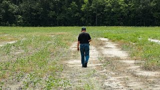 Saltwater Intrusion on Marylands Eastern Shore Farmland [upl. by Ducan]