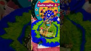 Comment m radhe radhe jarur bole 🙏🙏radhakirshna nikunjsevavlogs viralvideo trending yshorts [upl. by Ashien943]