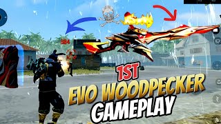 GAMEPLAY WITH EVO WOODPECKER 🔥  GARENA FREE FIRE [upl. by Yaeger]