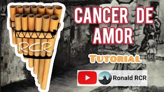 Cancer de amor en ZAMPOÑA □ Tutorial [upl. by Jade805]