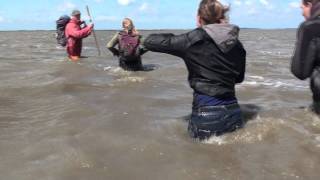 waddenzeehike end this is what you get p [upl. by Ardnuek29]