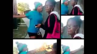 Sharkeisha Song noooooo she wasnt ready [upl. by Utas138]