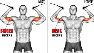 The Best Biceps Exercises No WeightAt Home [upl. by Eastman459]